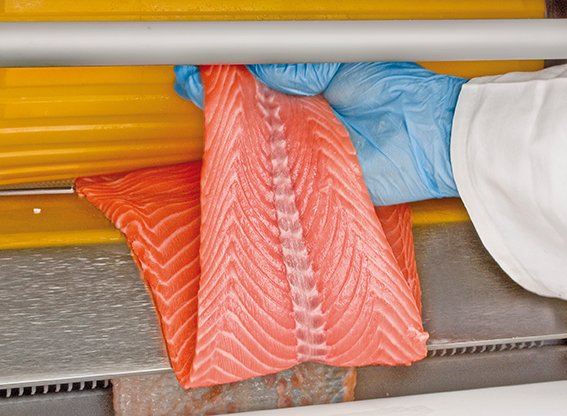 Economical Salmon Processing By MAJA Patented Deep-Skinning System