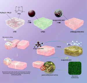 Graphical abstract